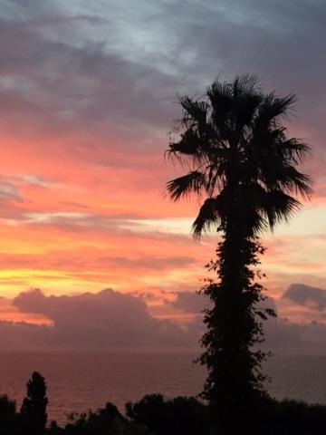 Casa Bahia De Casares Bed & Breakfast ภายนอก รูปภาพ